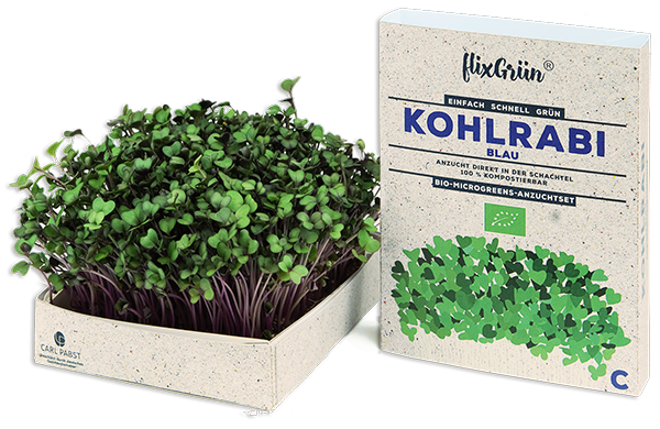 Flixgrün – Mikro-Gemüse aus eigener Ernte